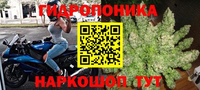 молекула духа Уссурийск