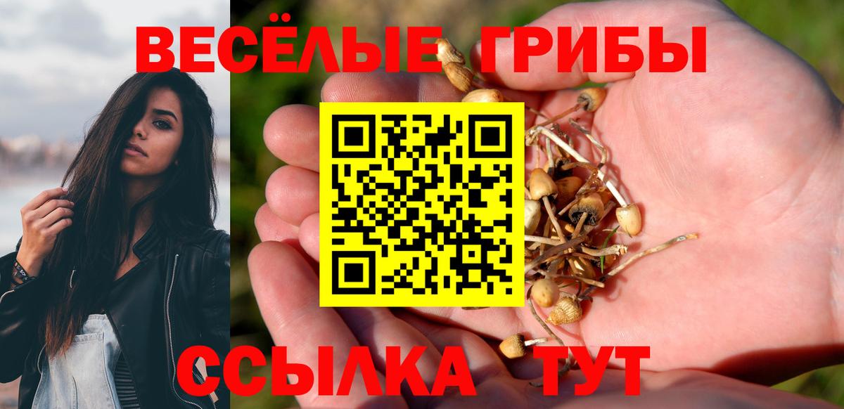 Краснодар  Галлюциногенные грибы Cubensis  как найти закладки  Вход с VPN 