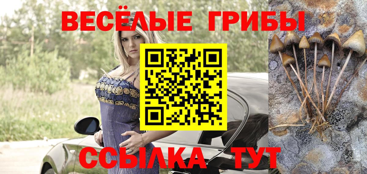 Галлюциногенные грибы прущие грибы Краснодар